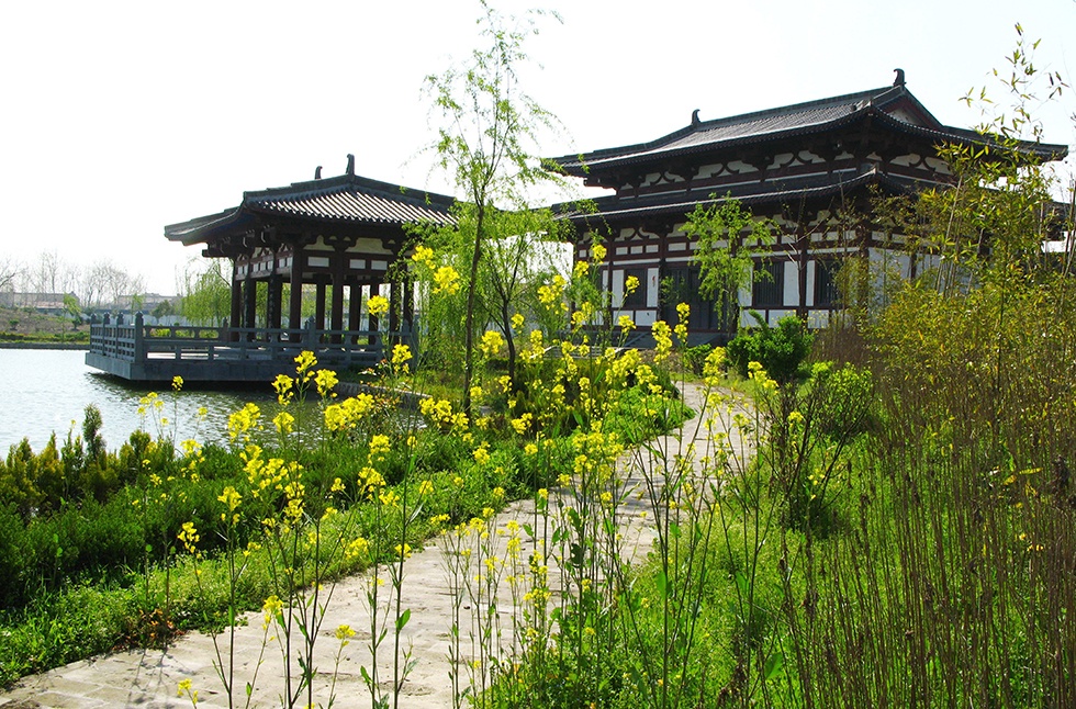 Top1����רҵ������Ѷ����������ƽ̨