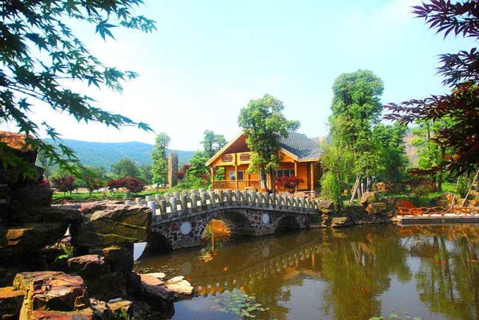 Top1����רҵ������Ѷ����������ƽ̨