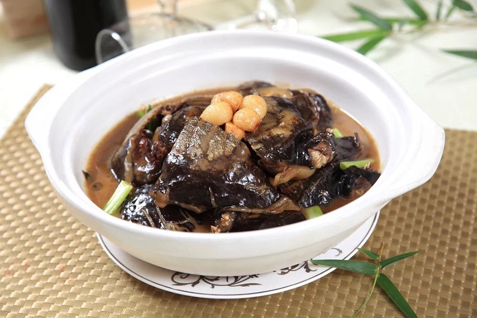 Top1����רҵ������Ѷ����������ƽ̨