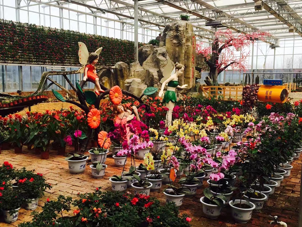 Top1����רҵ������Ѷ����������ƽ̨