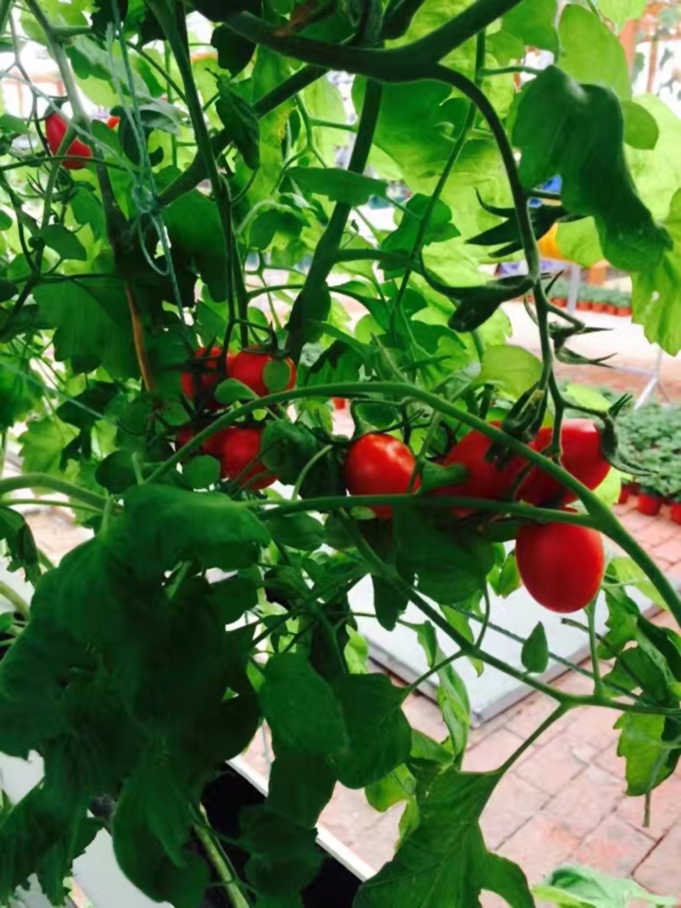 Top1����רҵ������Ѷ����������ƽ̨