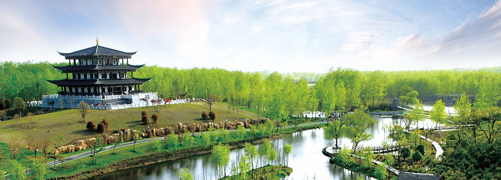 Top1����רҵ������Ѷ����������ƽ̨