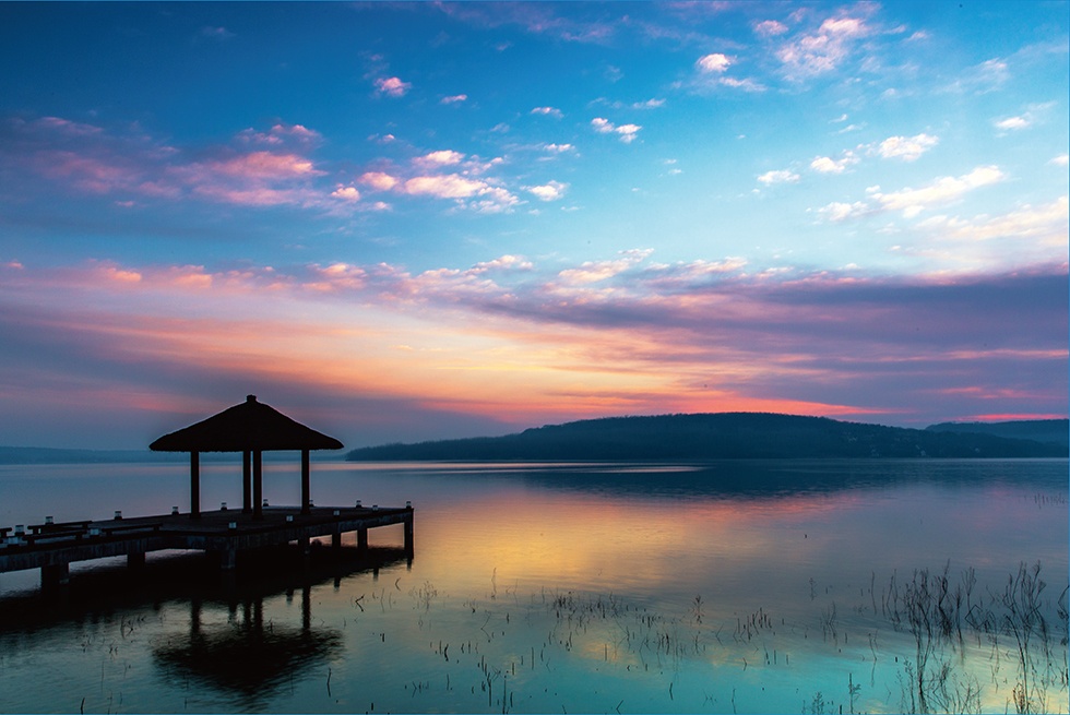 Top1����רҵ������Ѷ����������ƽ̨