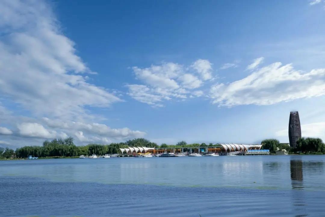 Top1����רҵ������Ѷ����������ƽ̨