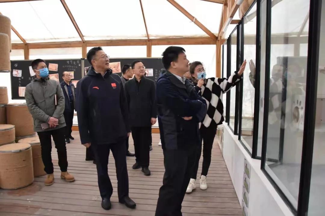 Top1����רҵ������Ѷ����������ƽ̨