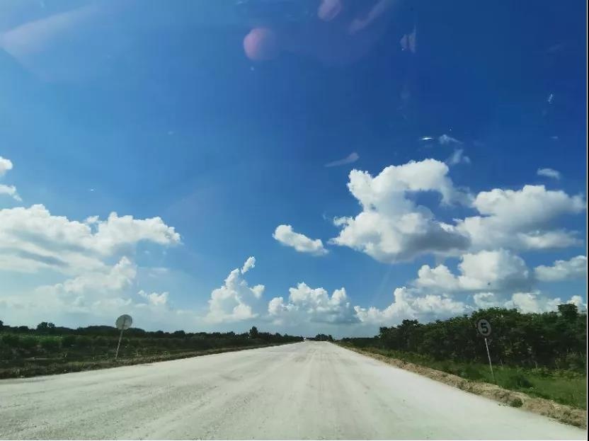 Top1����רҵ������Ѷ����������ƽ̨