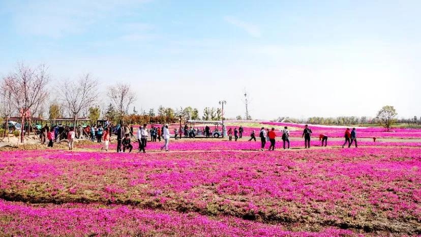 Top1����רҵ������Ѷ����������ƽ̨