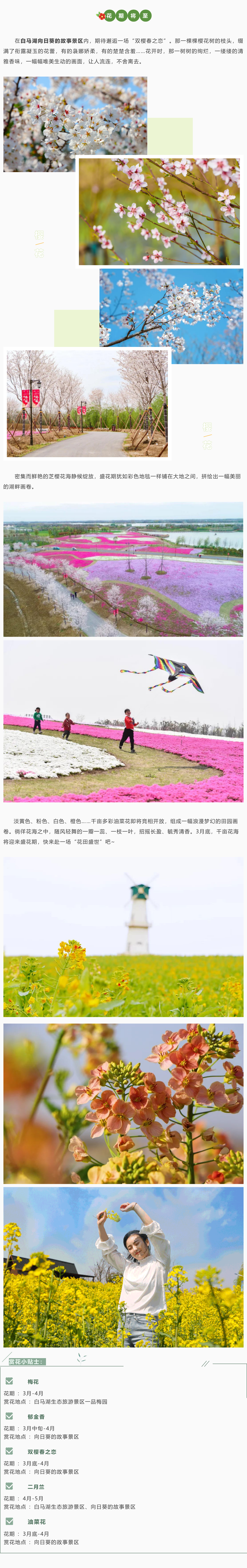 Top1����רҵ������Ѷ����������ƽ̨