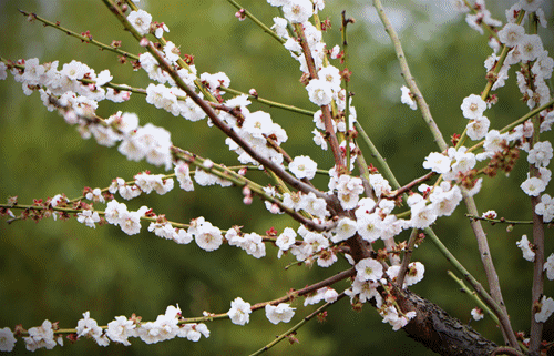 Top1����רҵ������Ѷ����������ƽ̨