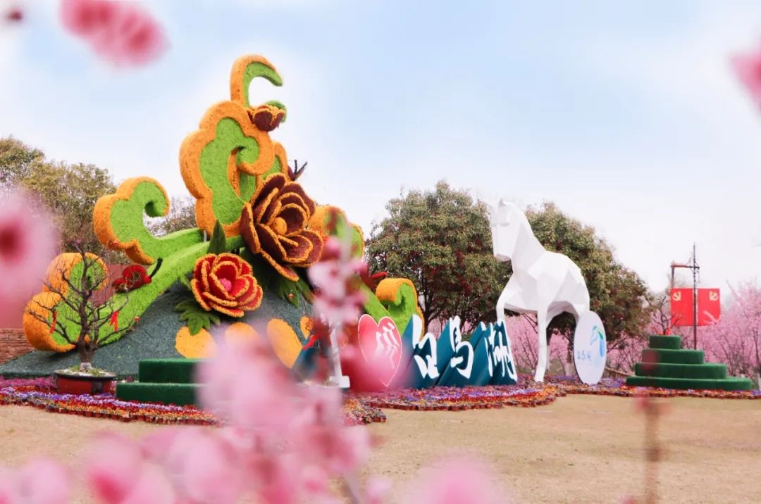 Top1����רҵ������Ѷ����������ƽ̨