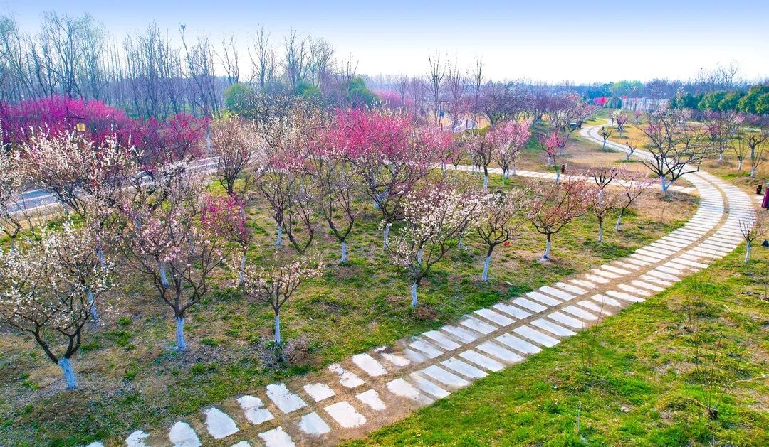 Top1����רҵ������Ѷ����������ƽ̨