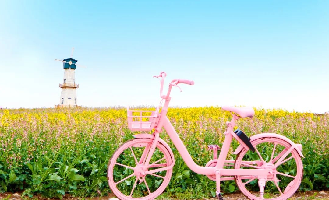 Top1����רҵ������Ѷ����������ƽ̨