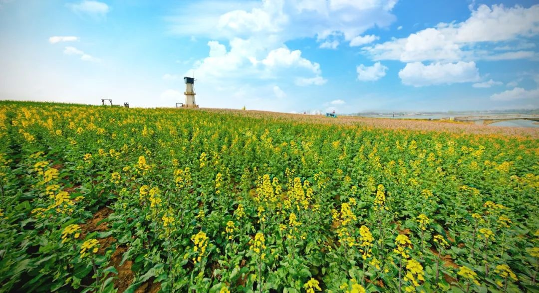 Top1����רҵ������Ѷ����������ƽ̨