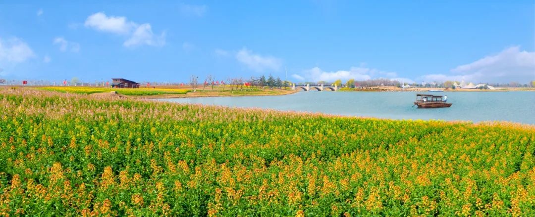 Top1����רҵ������Ѷ����������ƽ̨