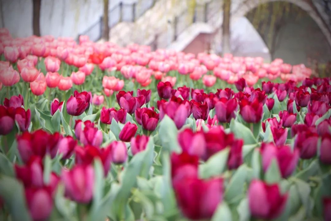 Top1����רҵ������Ѷ����������ƽ̨