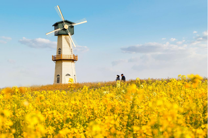 Top1����רҵ������Ѷ����������ƽ̨