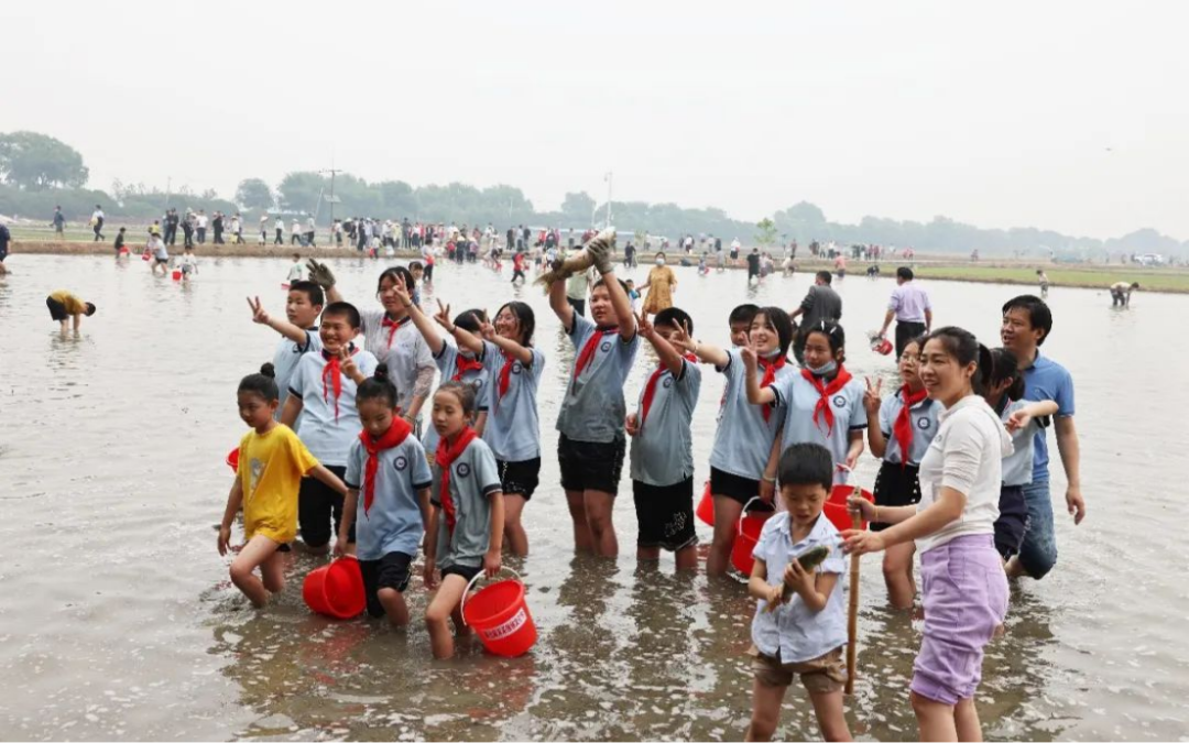 Top1����רҵ������Ѷ����������ƽ̨