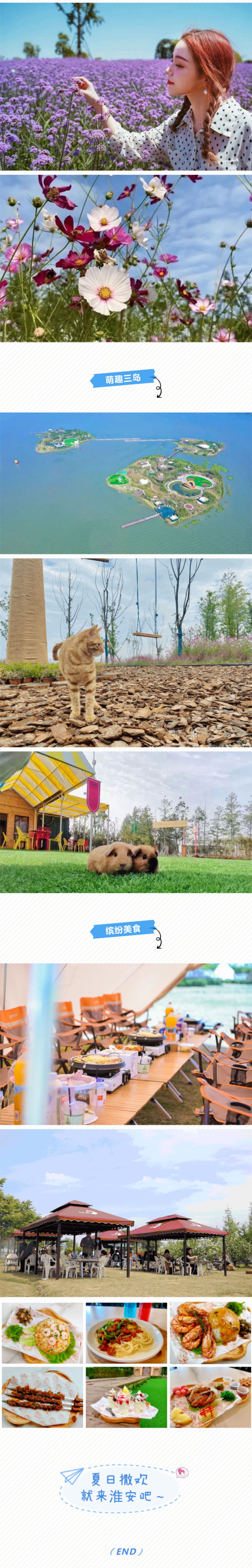 Top1����רҵ������Ѷ����������ƽ̨