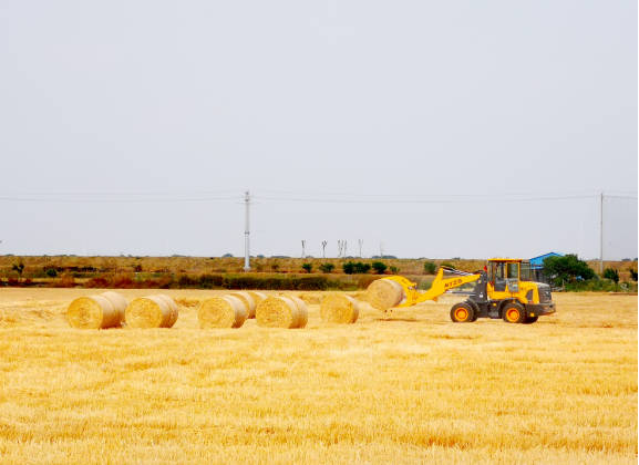 Top1����רҵ������Ѷ����������ƽ̨