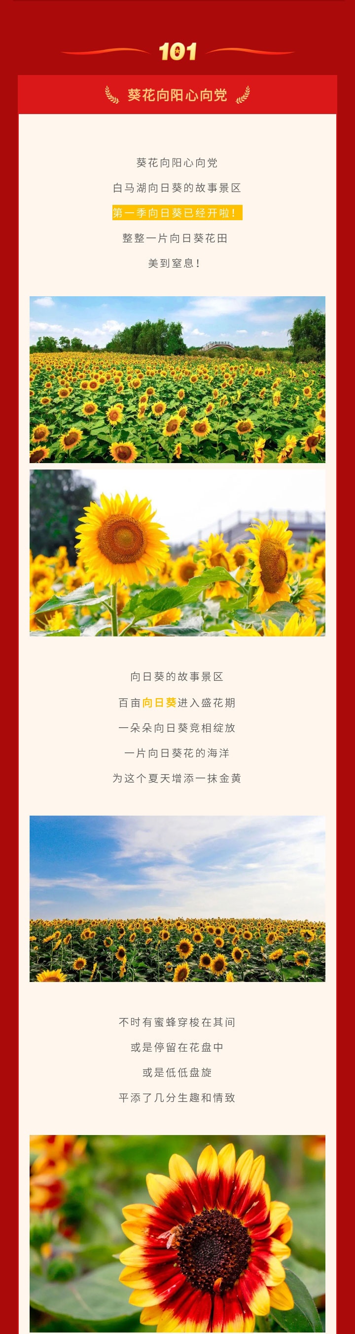 Top1����רҵ������Ѷ����������ƽ̨