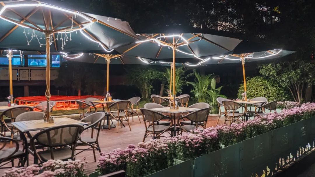 Top1����רҵ������Ѷ����������ƽ̨