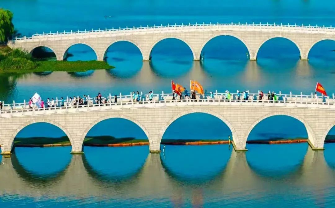 Top1����רҵ������Ѷ����������ƽ̨