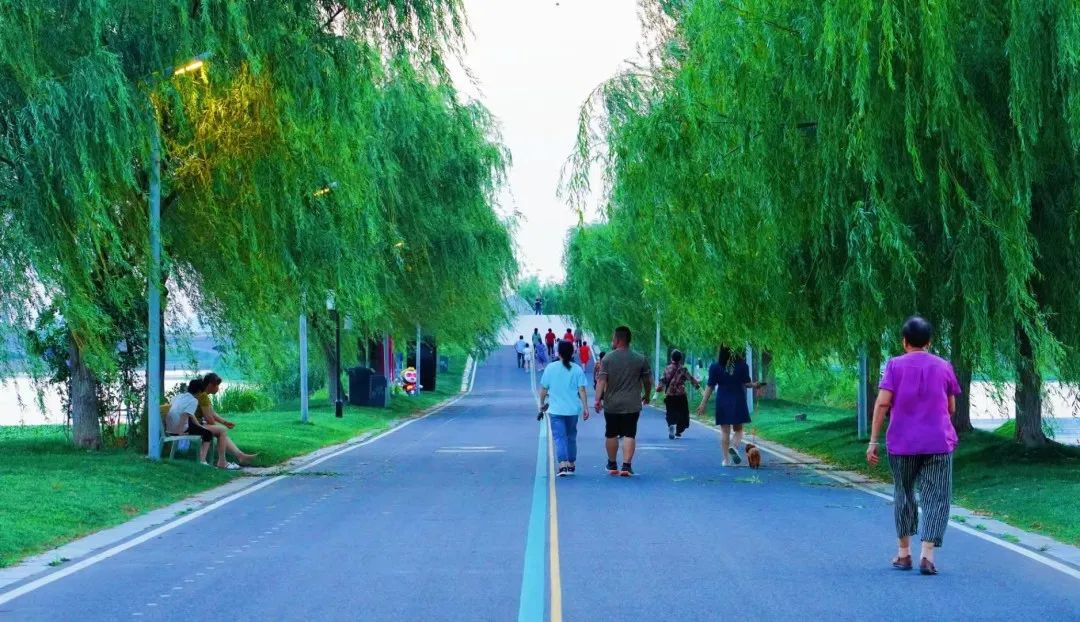 Top1����רҵ������Ѷ����������ƽ̨