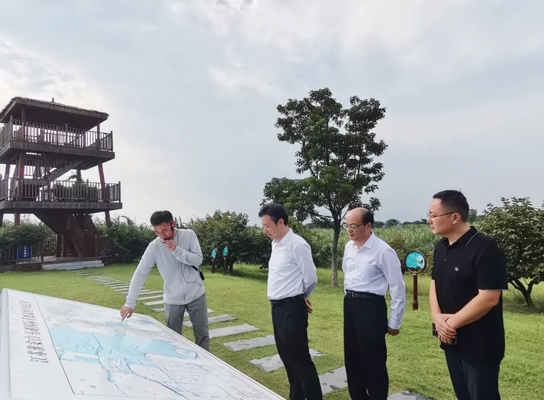 Top1����רҵ������Ѷ����������ƽ̨