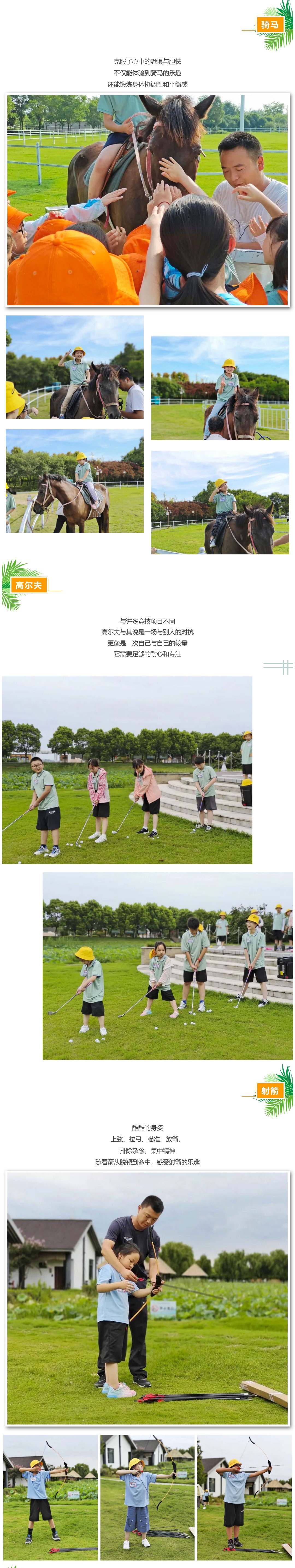 Top1����רҵ������Ѷ����������ƽ̨