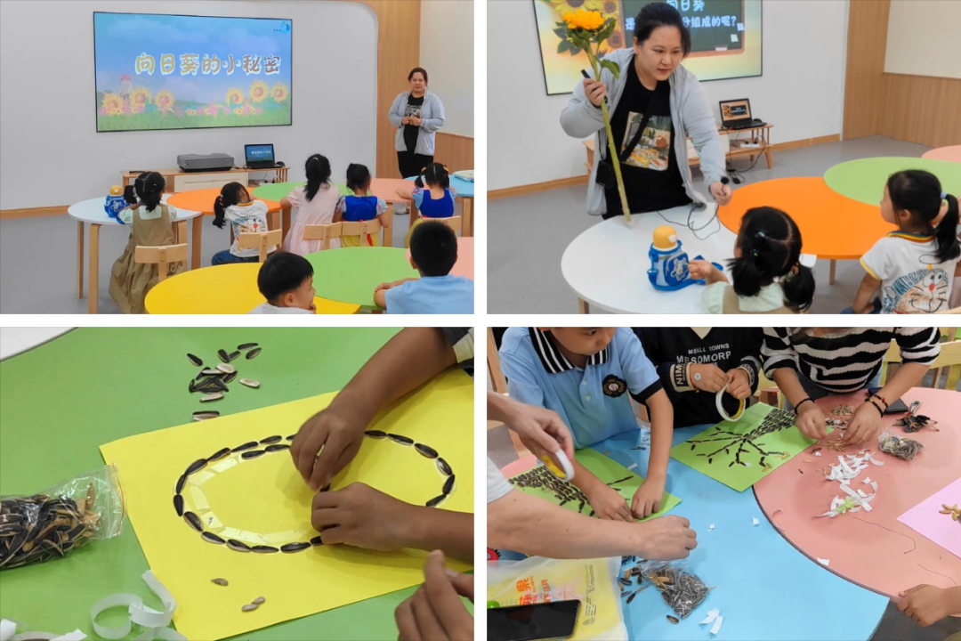 Top1����רҵ������Ѷ����������ƽ̨