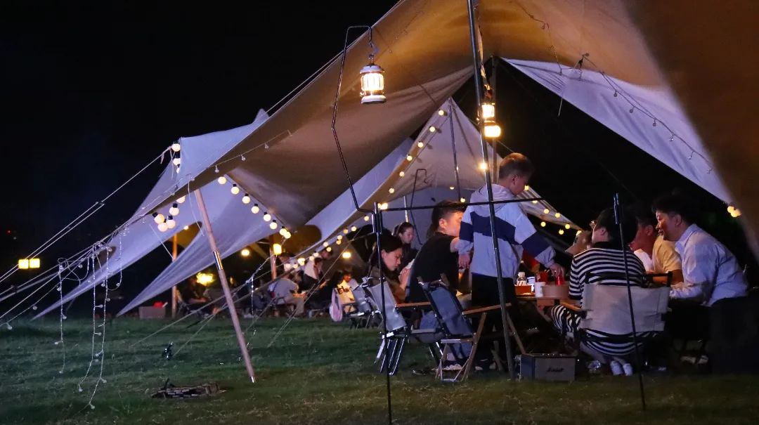 Top1����רҵ������Ѷ����������ƽ̨