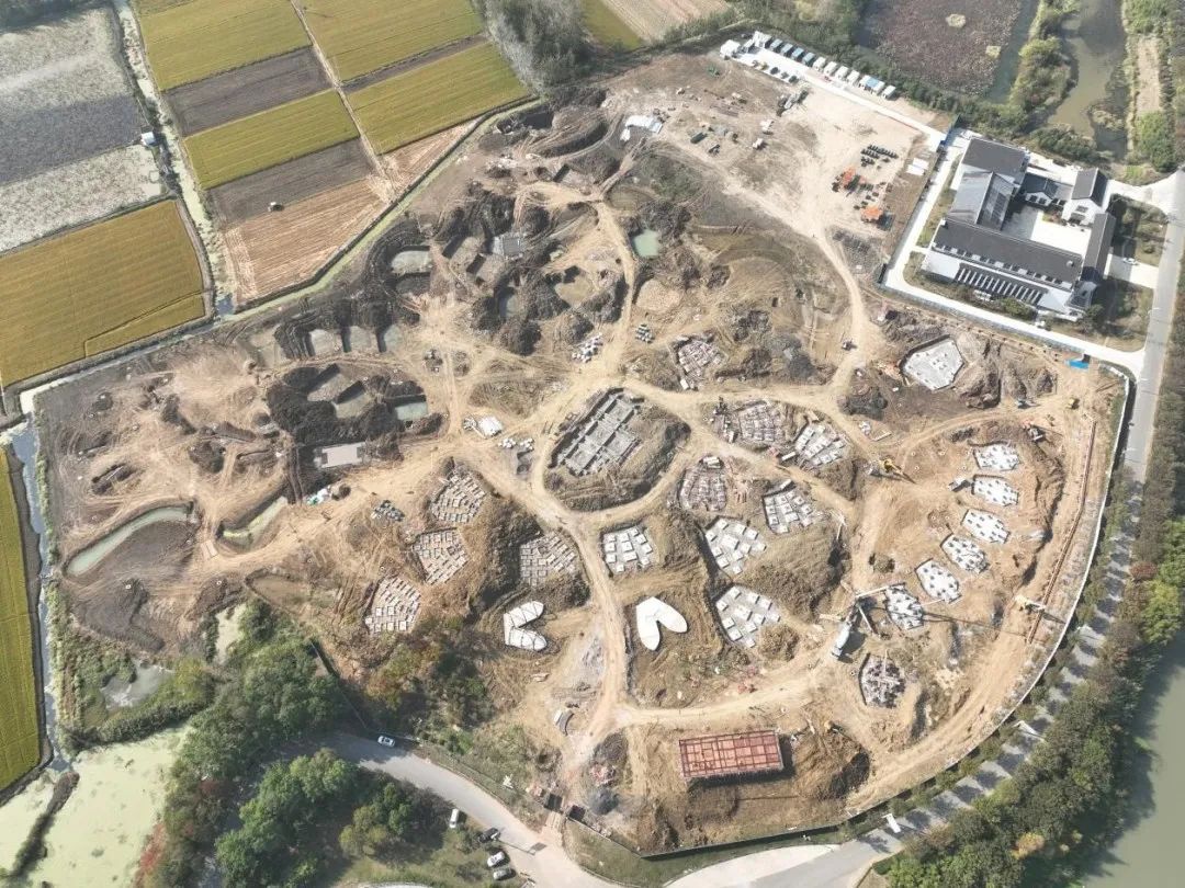 Top1����רҵ������Ѷ����������ƽ̨