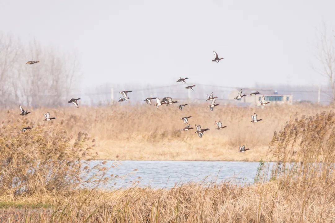 Top1ÌåÓýרҵÌåÓý×ÊѶÓëÈüÊÂÆÊÎöƽ̨