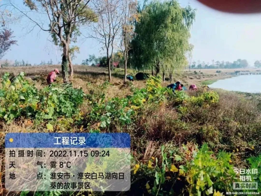 Top1����רҵ������Ѷ����������ƽ̨