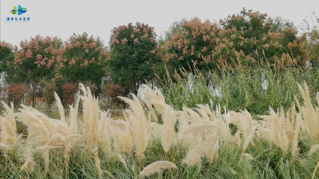 Top1ÌåÓýרҵÌåÓý×ÊѶÓëÈüÊÂÆÊÎöƽ̨