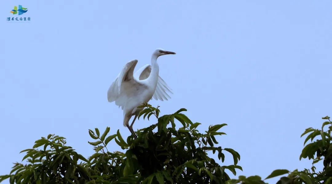 Top1����רҵ������Ѷ����������ƽ̨