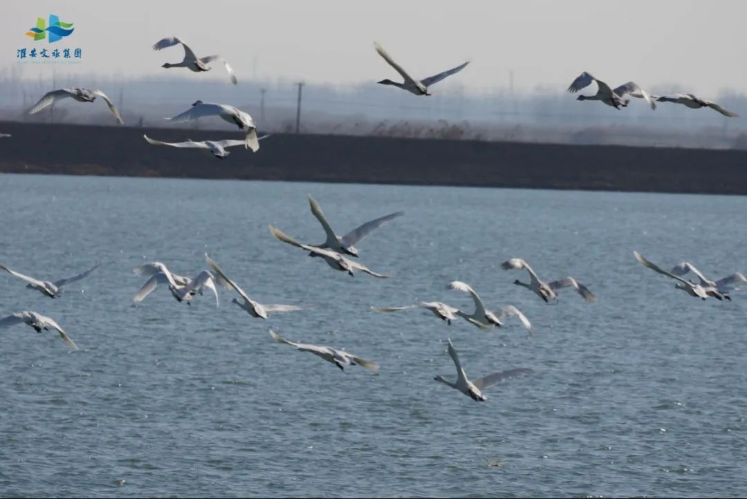 Top1ÌåÓýרҵÌåÓý×ÊѶÓëÈüÊÂÆÊÎöƽ̨