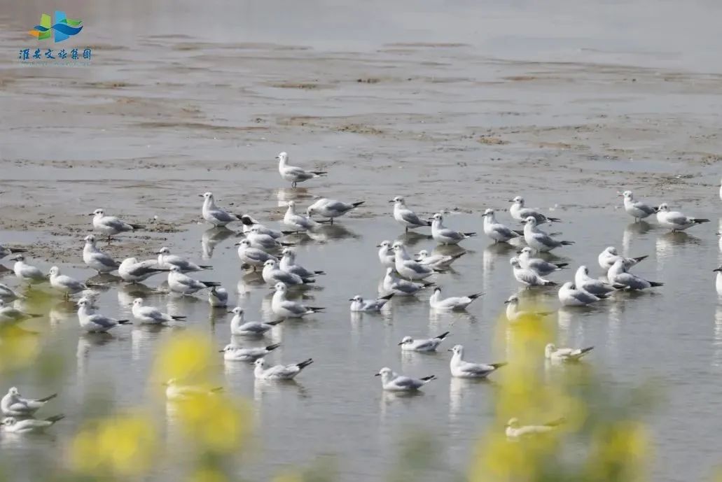 Top1ÌåÓýרҵÌåÓý×ÊѶÓëÈüÊÂÆÊÎöƽ̨