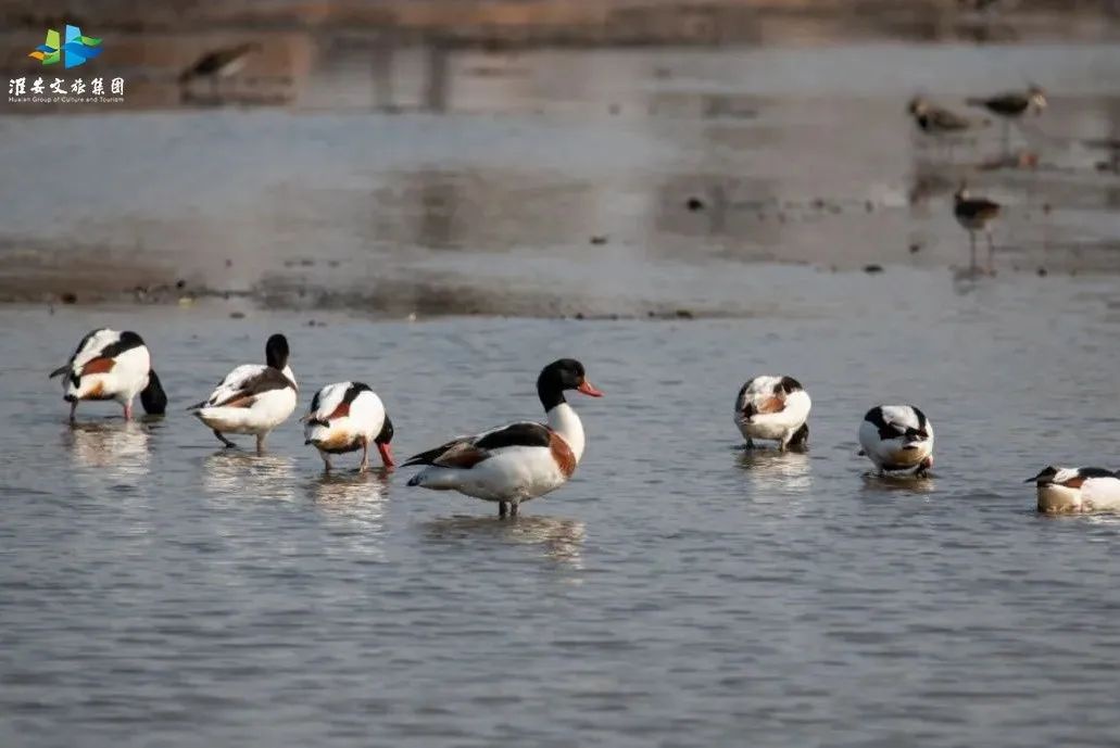 Top1ÌåÓýרҵÌåÓý×ÊѶÓëÈüÊÂÆÊÎöƽ̨