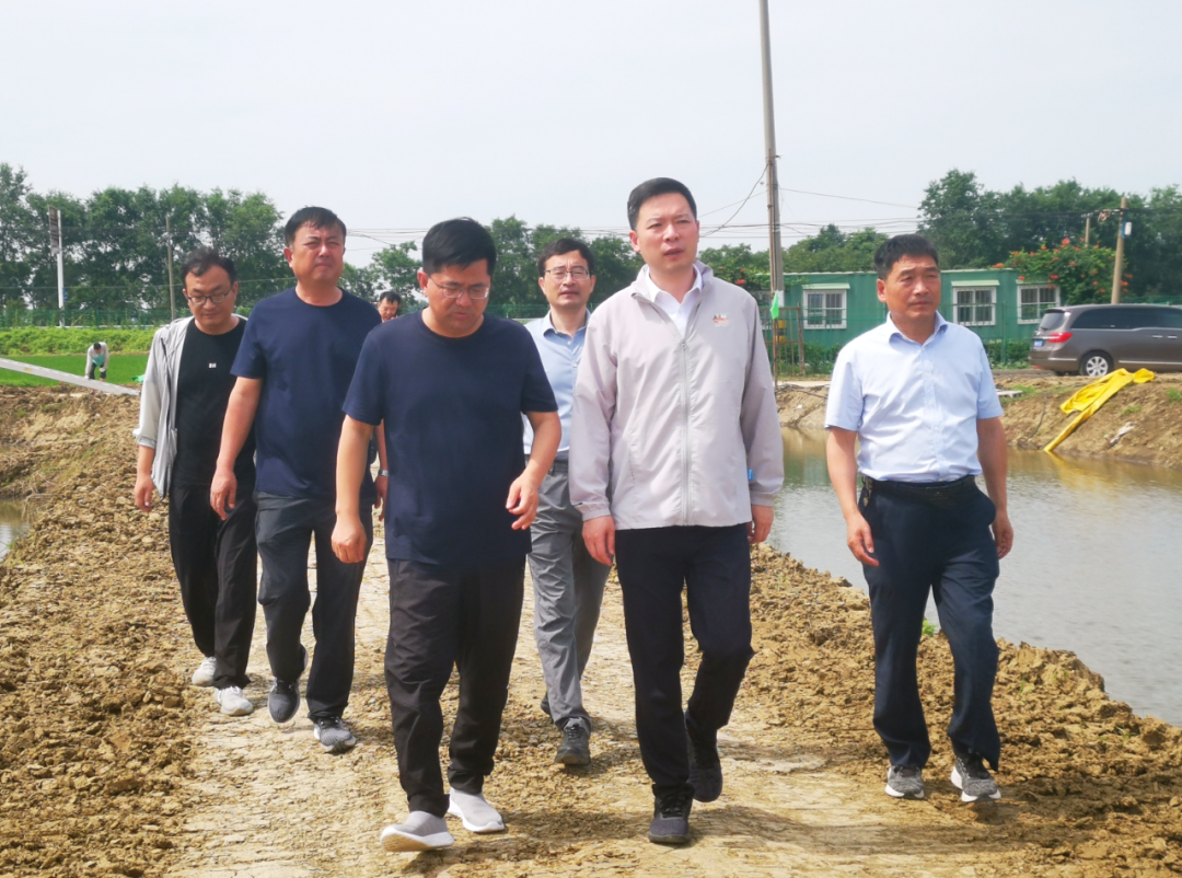 Top1����רҵ������Ѷ����������ƽ̨