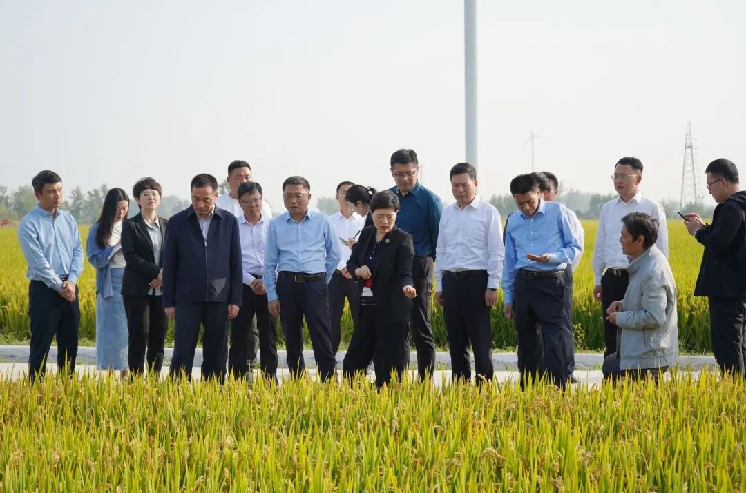 Top1����רҵ������Ѷ����������ƽ̨