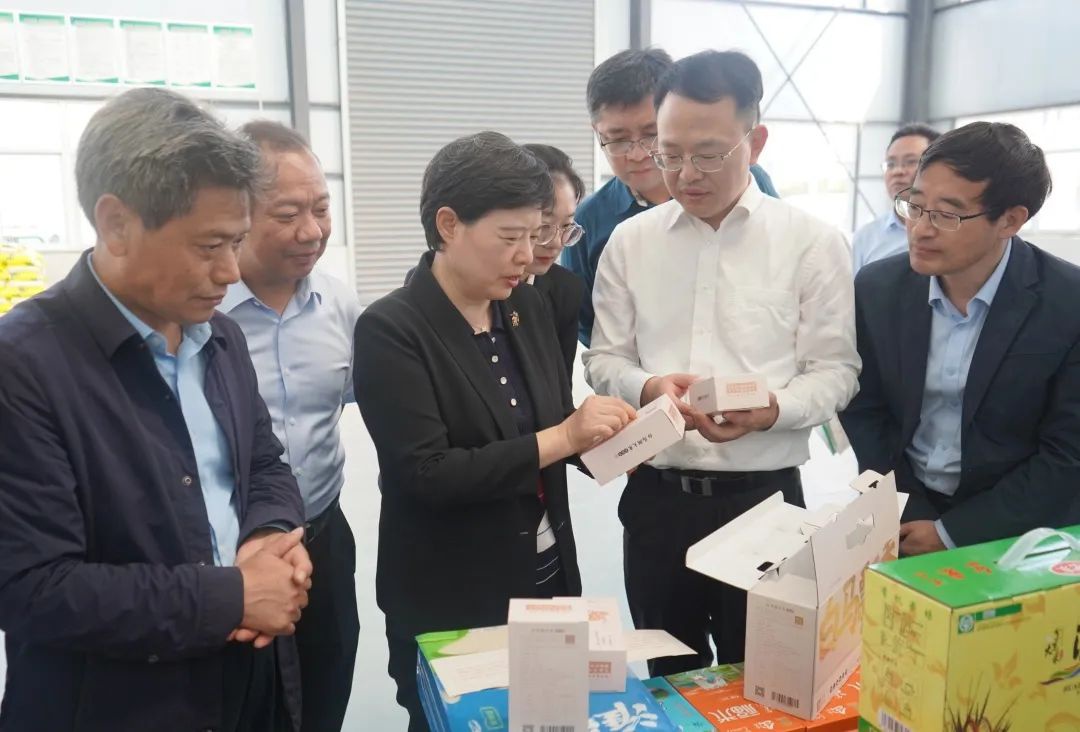 Top1����רҵ������Ѷ����������ƽ̨