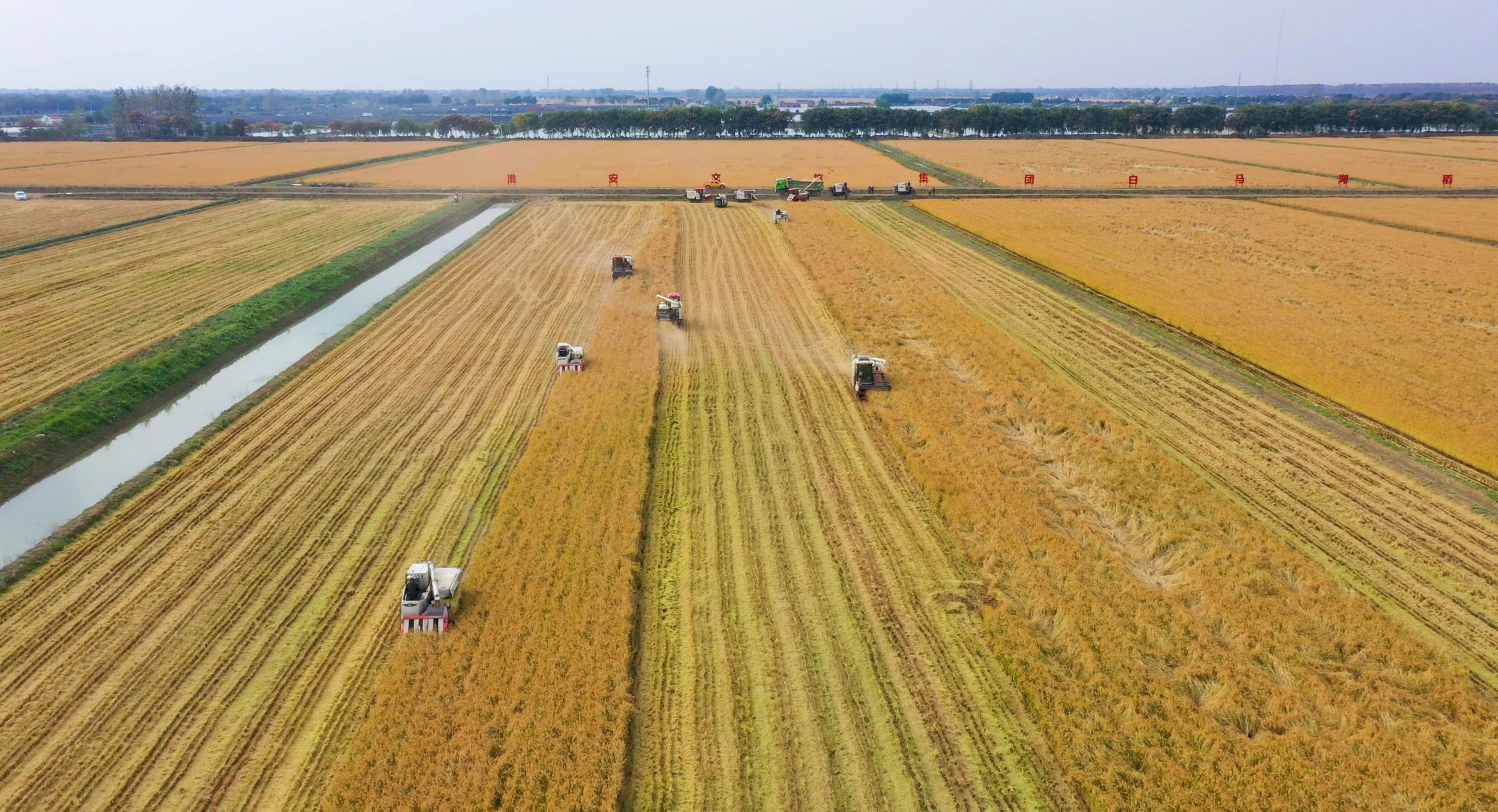 Top1����רҵ������Ѷ����������ƽ̨