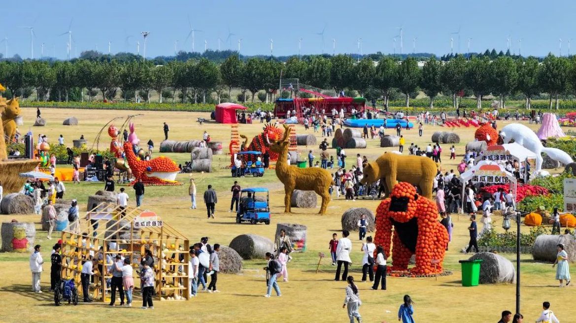 Top1����רҵ������Ѷ����������ƽ̨