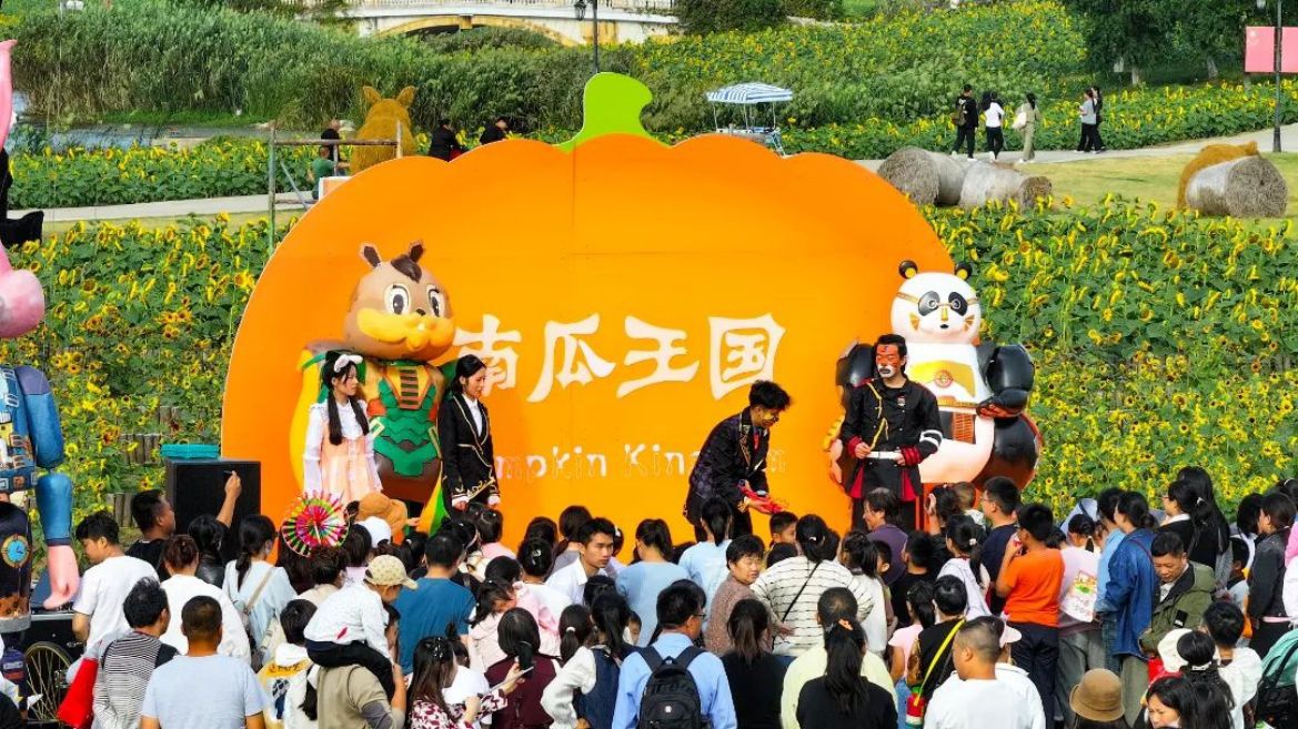 Top1����רҵ������Ѷ����������ƽ̨