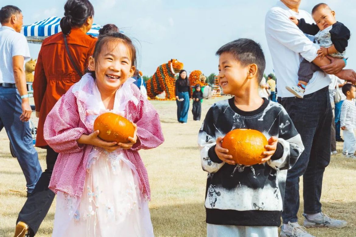 Top1����רҵ������Ѷ����������ƽ̨