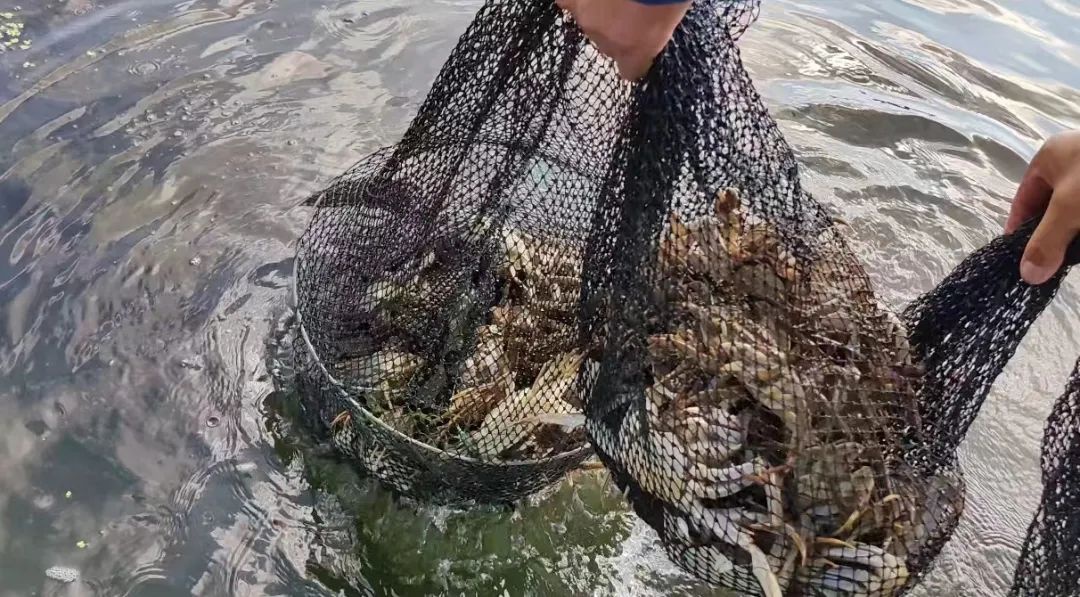 Top1����רҵ������Ѷ����������ƽ̨