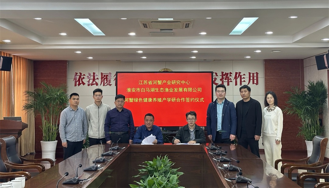 Top1����רҵ������Ѷ����������ƽ̨