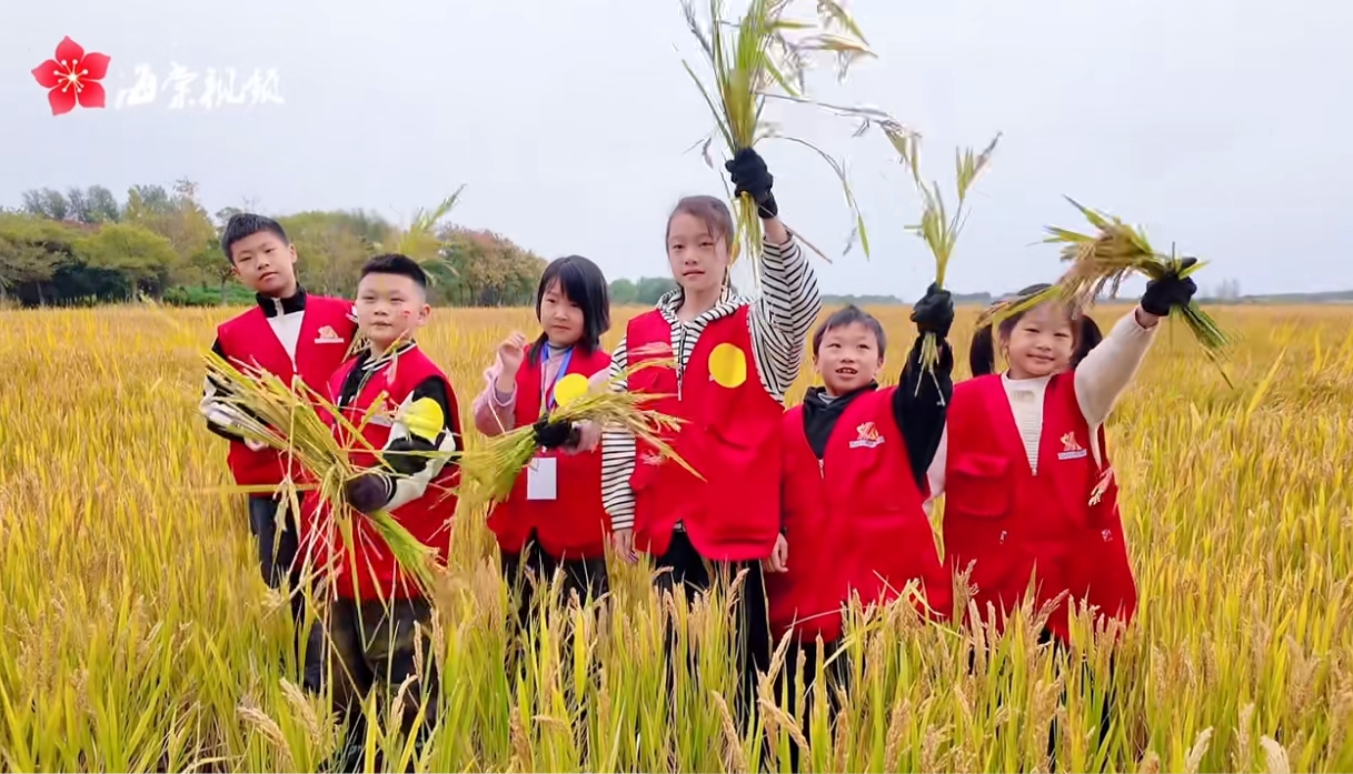 Top1����רҵ������Ѷ����������ƽ̨