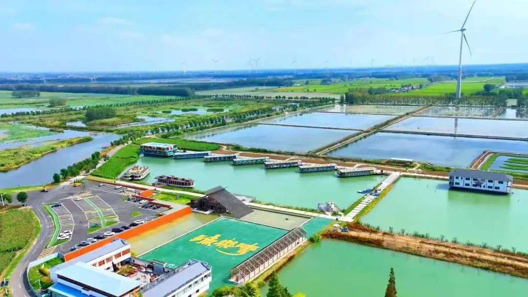 Top1����רҵ������Ѷ����������ƽ̨